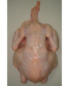 Pollo Entero Sin Menudos Congelado 1500g Cajax8u 12Kg Perdix