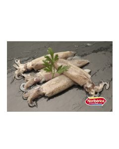 Calamar Patagonico 9/12 Noriberica caja x 5 kg aprox