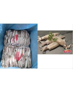 Calamar Patagonico 9/12  Noriberica   13 kg aprox